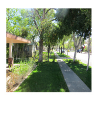 Maple Ash Home- Single Family - Tempe rentals