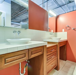 the Lofts at the Orchidhouse - Orchid house - Tempe Condos