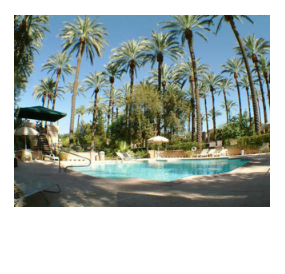 Palma Viva- Arcadia Condos - Arcadia Lofts